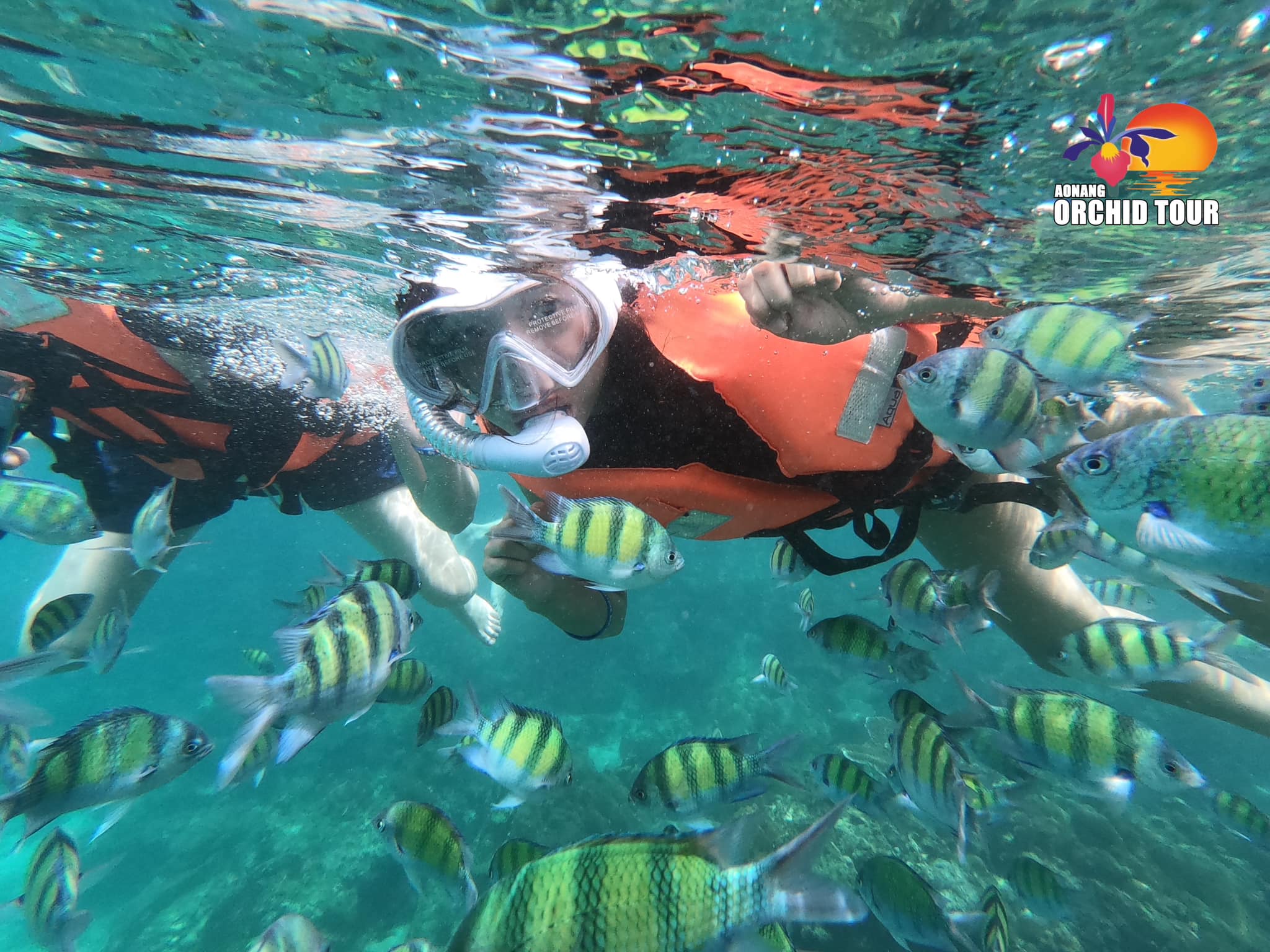 ONE DAY TRIP – 4 ISLANDS TOUR (KRABI)