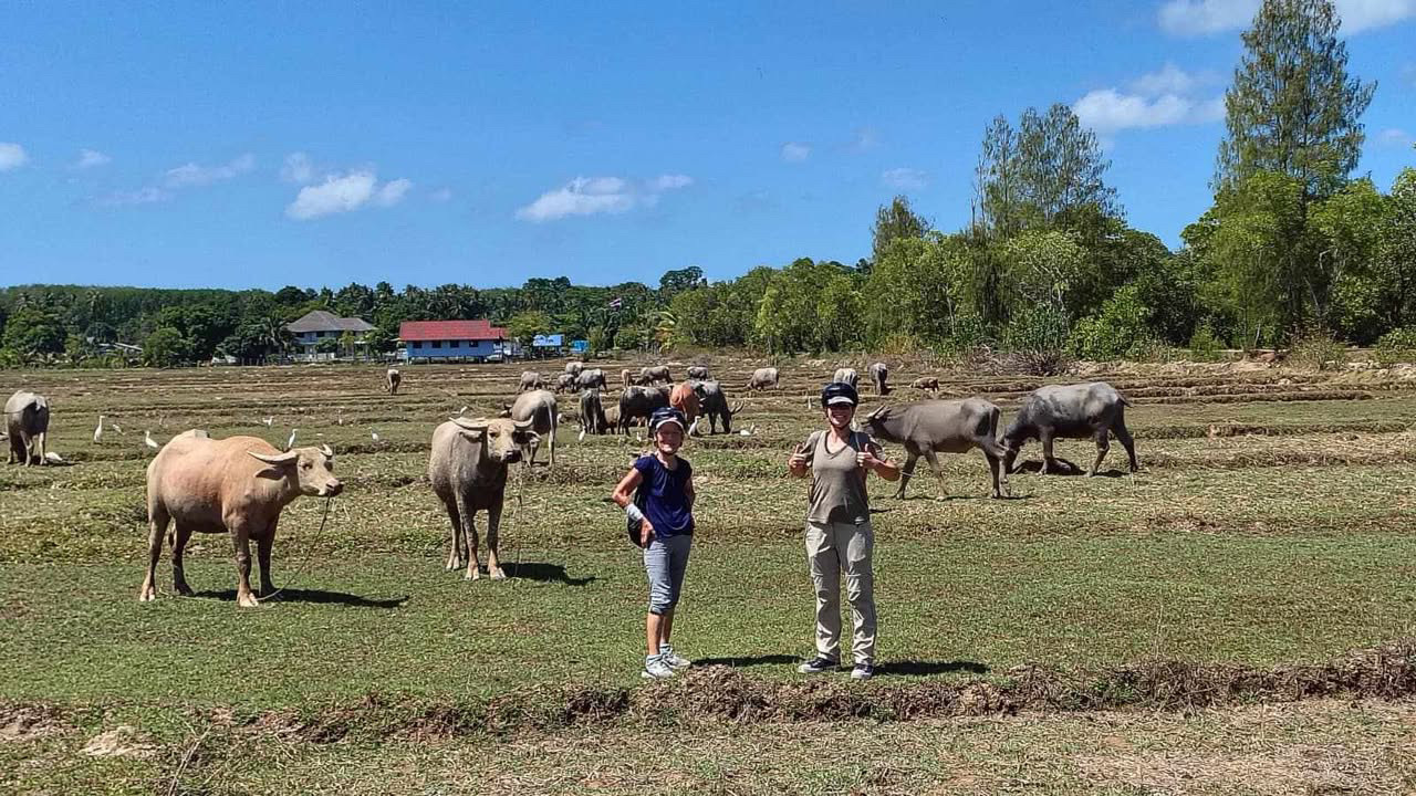 KOH YAO NOI BIKING ADVENTURE Discover Authentic Island Life by Mountain Bike