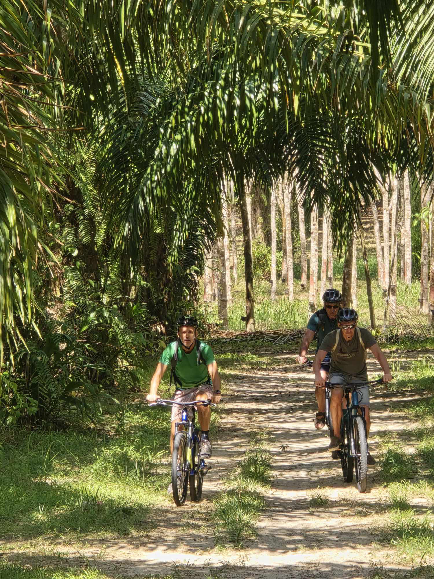 RAINFOREST & WATERFALL HIKING Explore Phuket's Last Tropical Rainforest