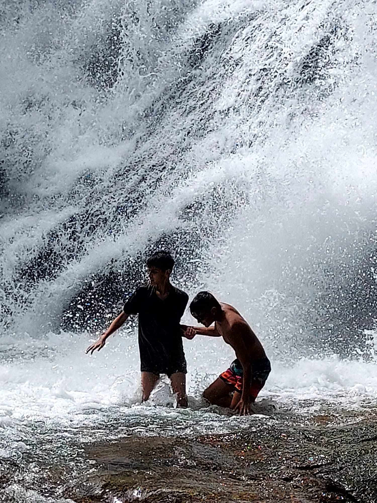 RAINFOREST & WATERFALL HIKING Explore Phuket's Last Tropical Rainforest