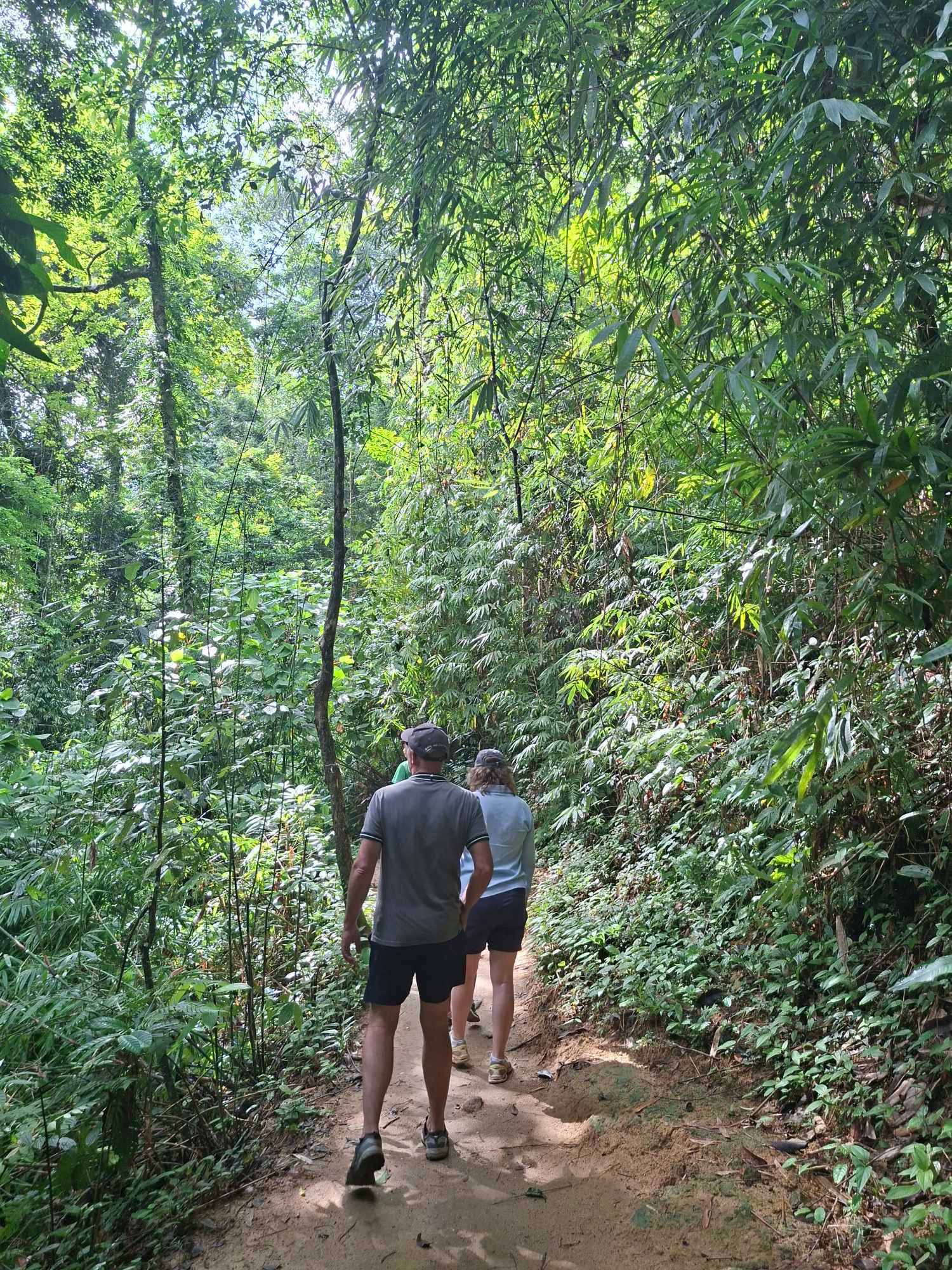RAINFOREST & WATERFALL HIKING Explore Phuket's Last Tropical Rainforest