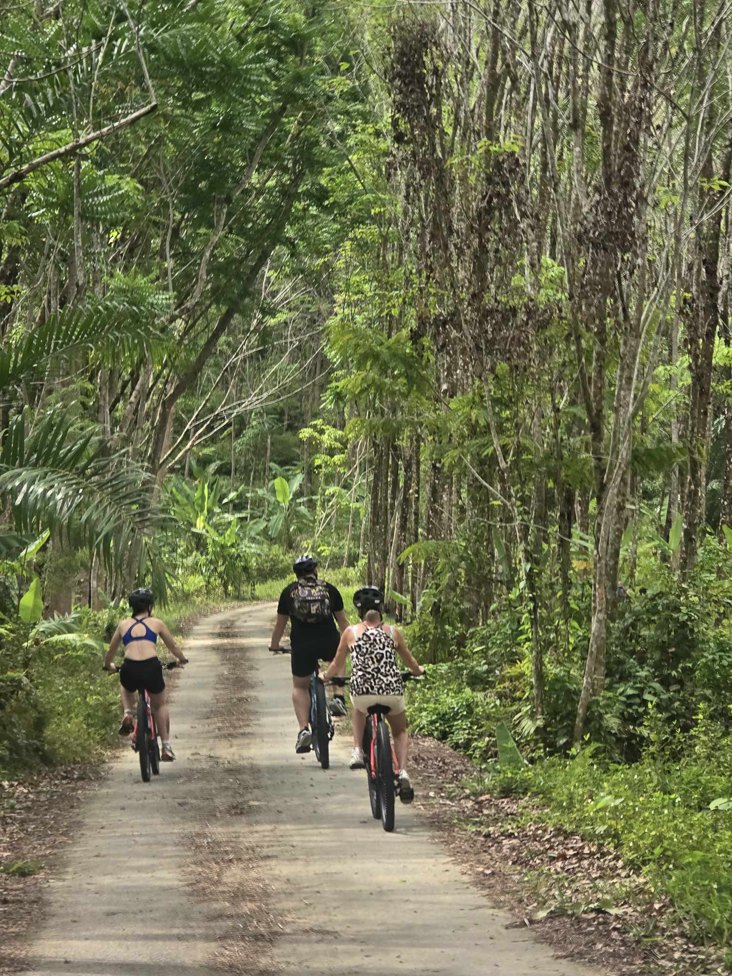 RAINFOREST & WATERFALL HIKING Explore Phuket's Last Tropical Rainforest